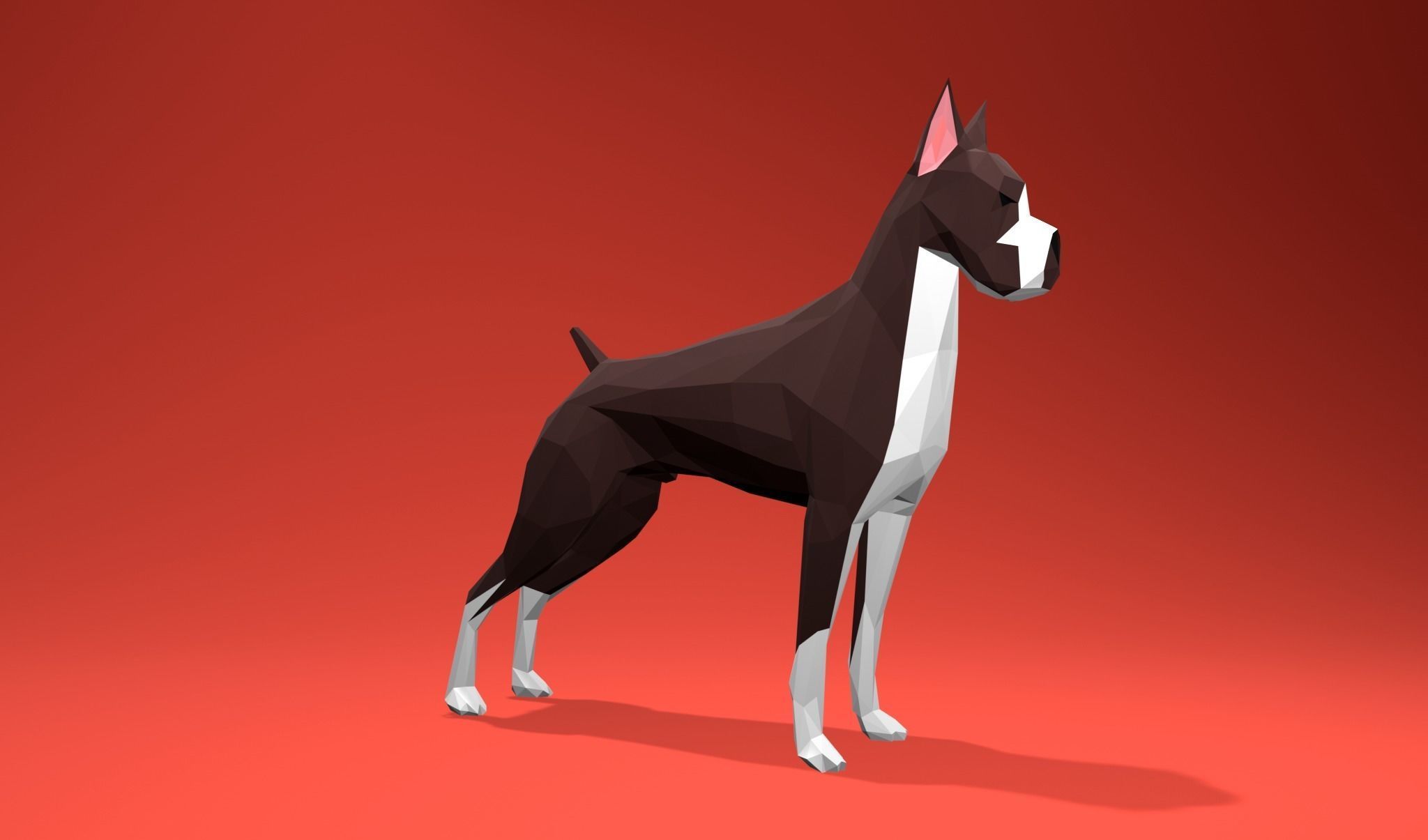 American Boxer Dog Lowpoly 3D print model_7