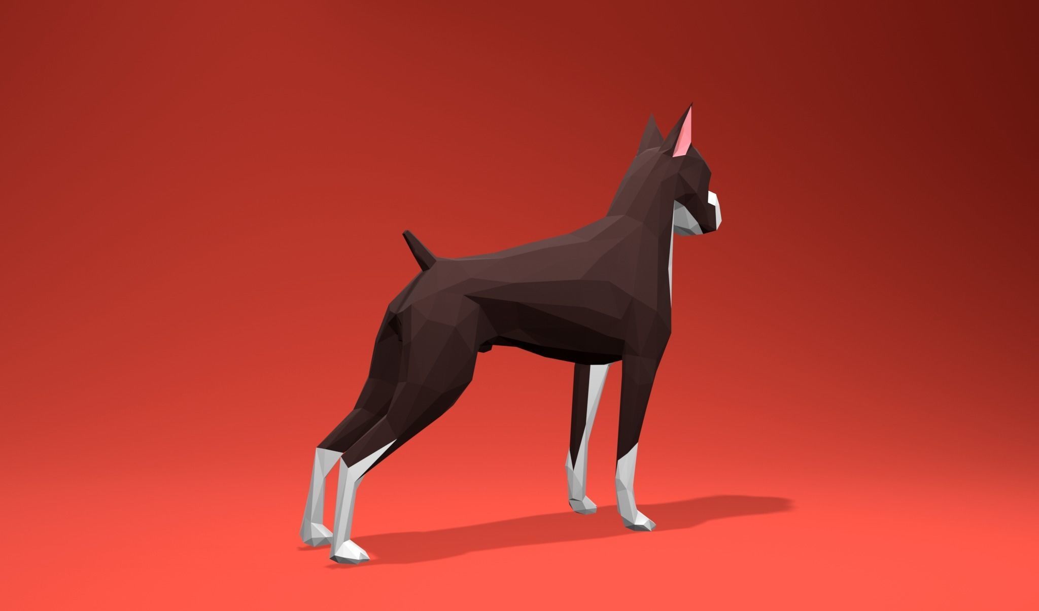 American Boxer Dog Lowpoly 3D print model_19