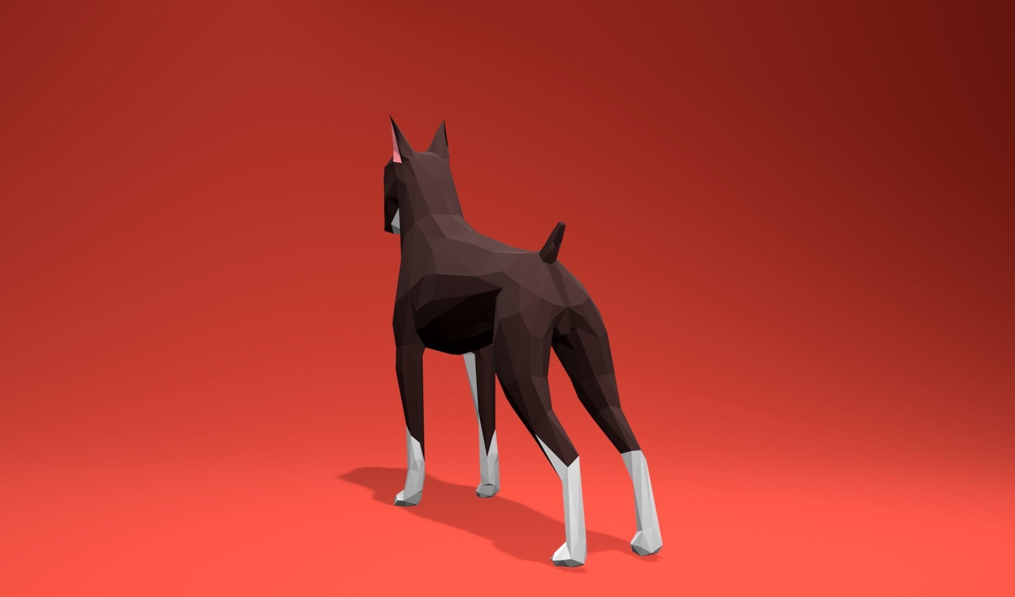 American Boxer Dog Lowpoly 3D print model_12