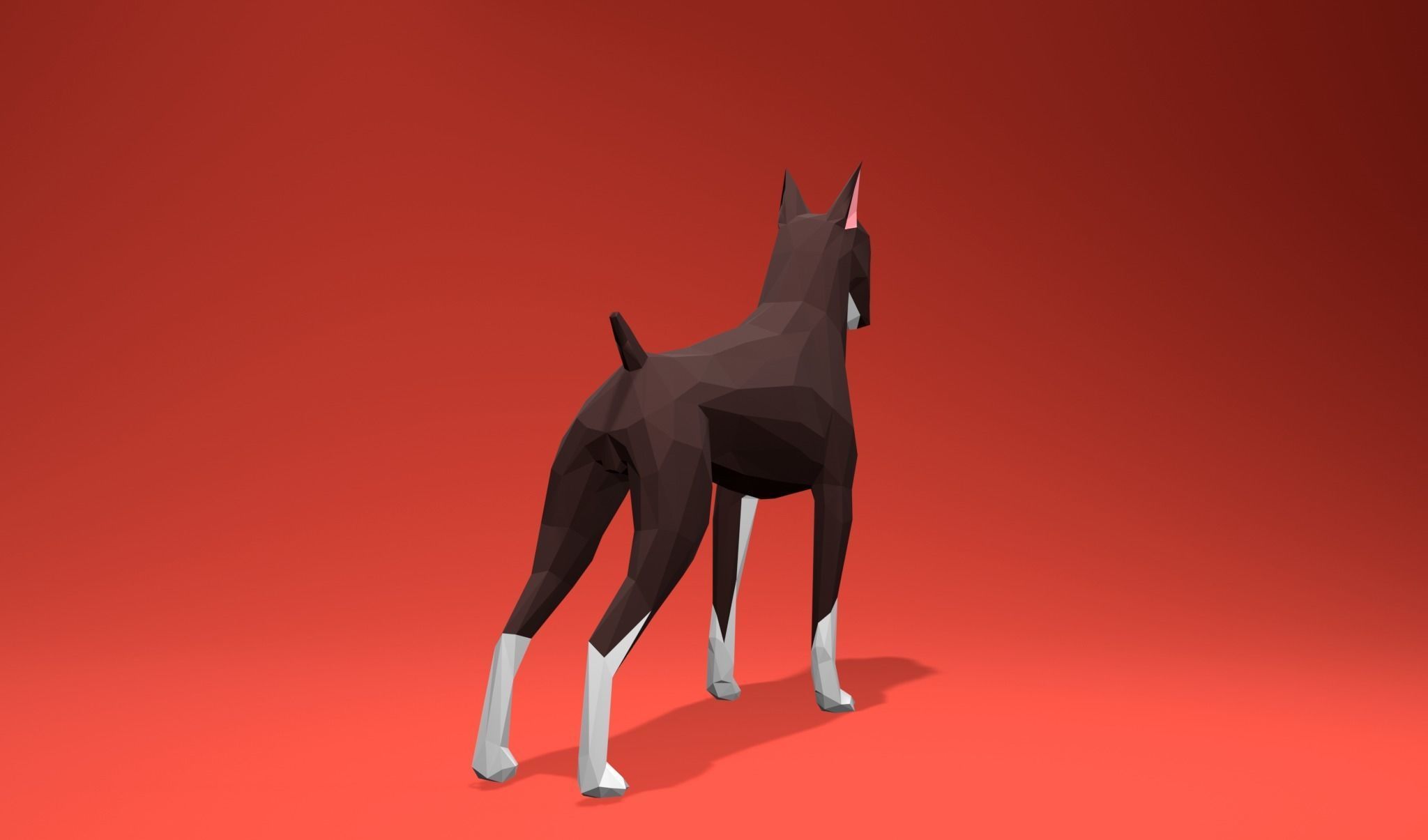 American Boxer Dog Lowpoly 3D print model_10