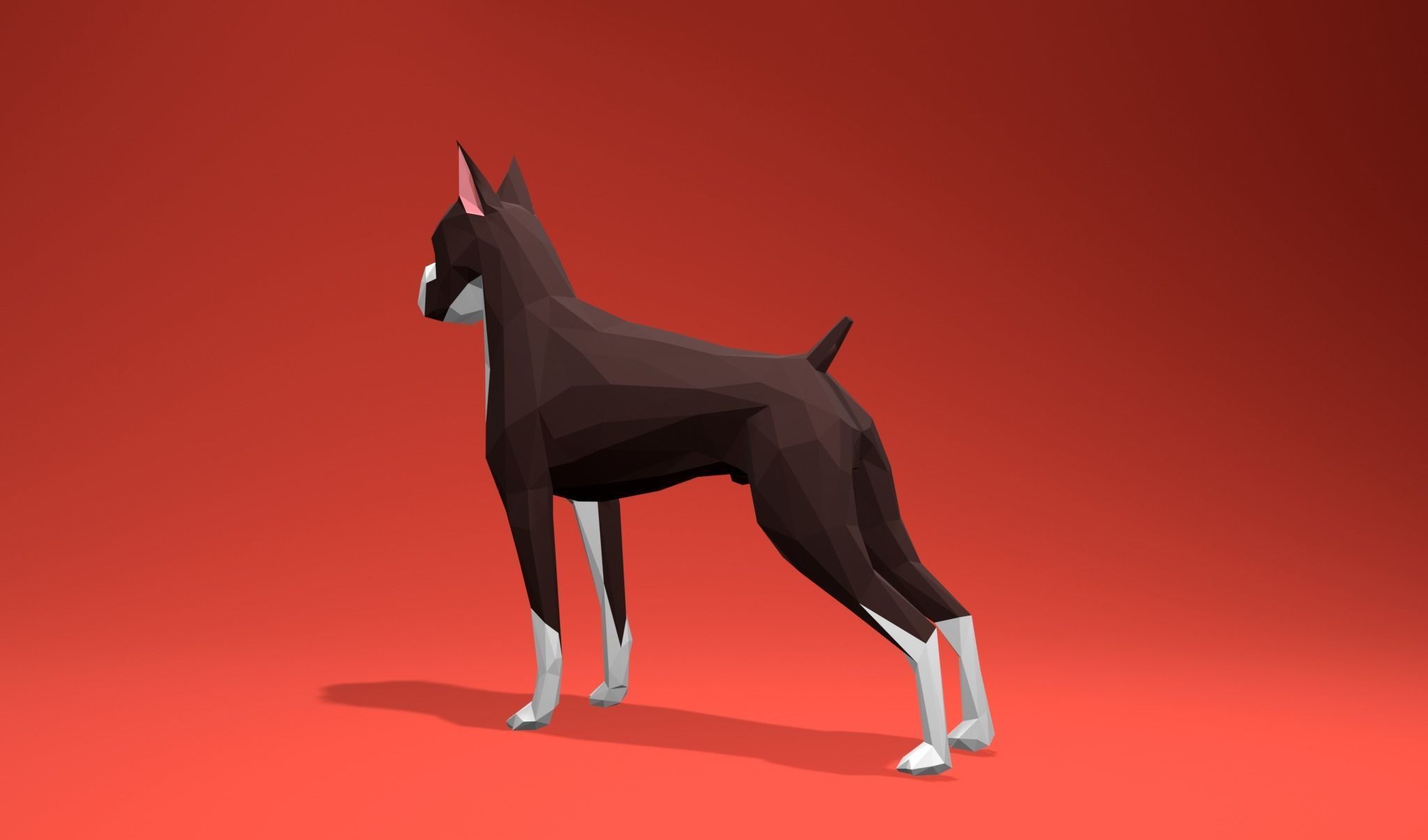 American Boxer Dog Lowpoly 3D print model_13