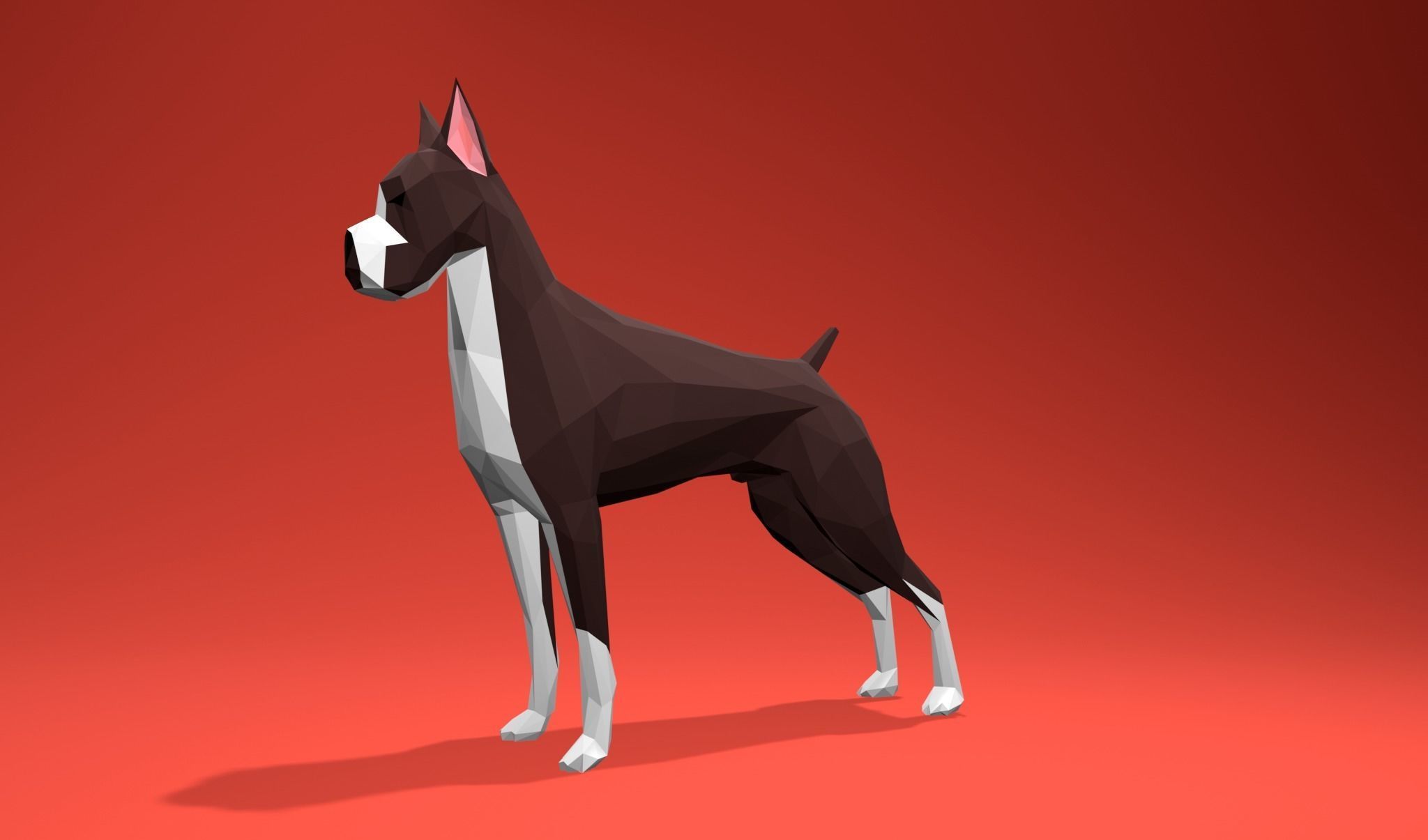 American Boxer Dog Lowpoly 3D print model_15
