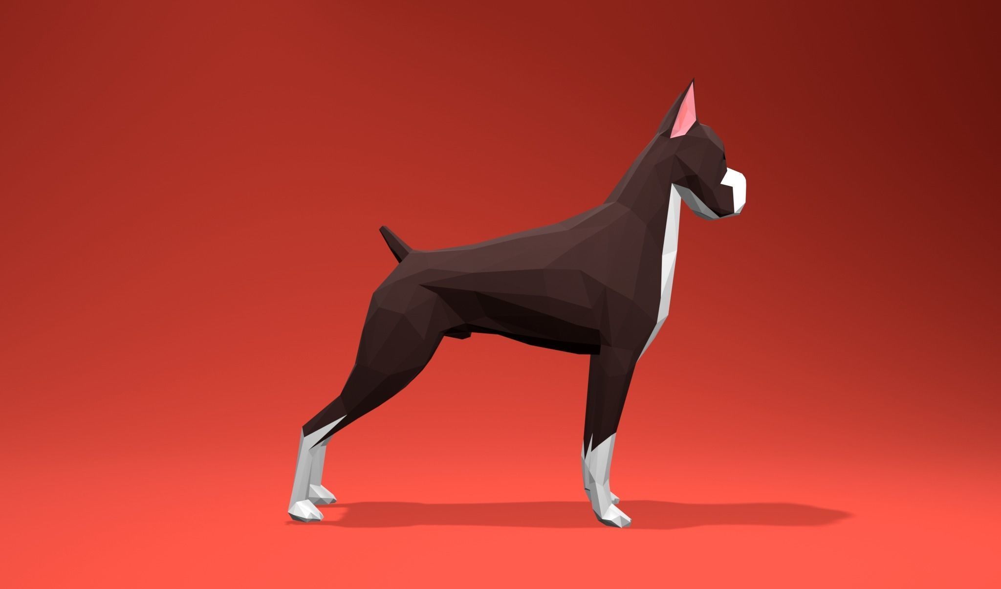American Boxer Dog Lowpoly 3D print model_8