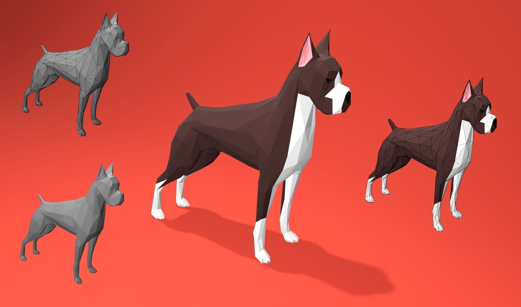 American Boxer Dog Lowpoly 3D print model_1