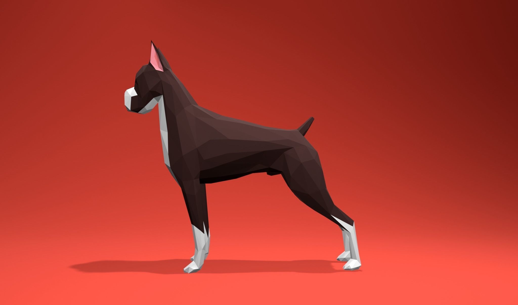 American Boxer Dog Lowpoly 3D print model_14
