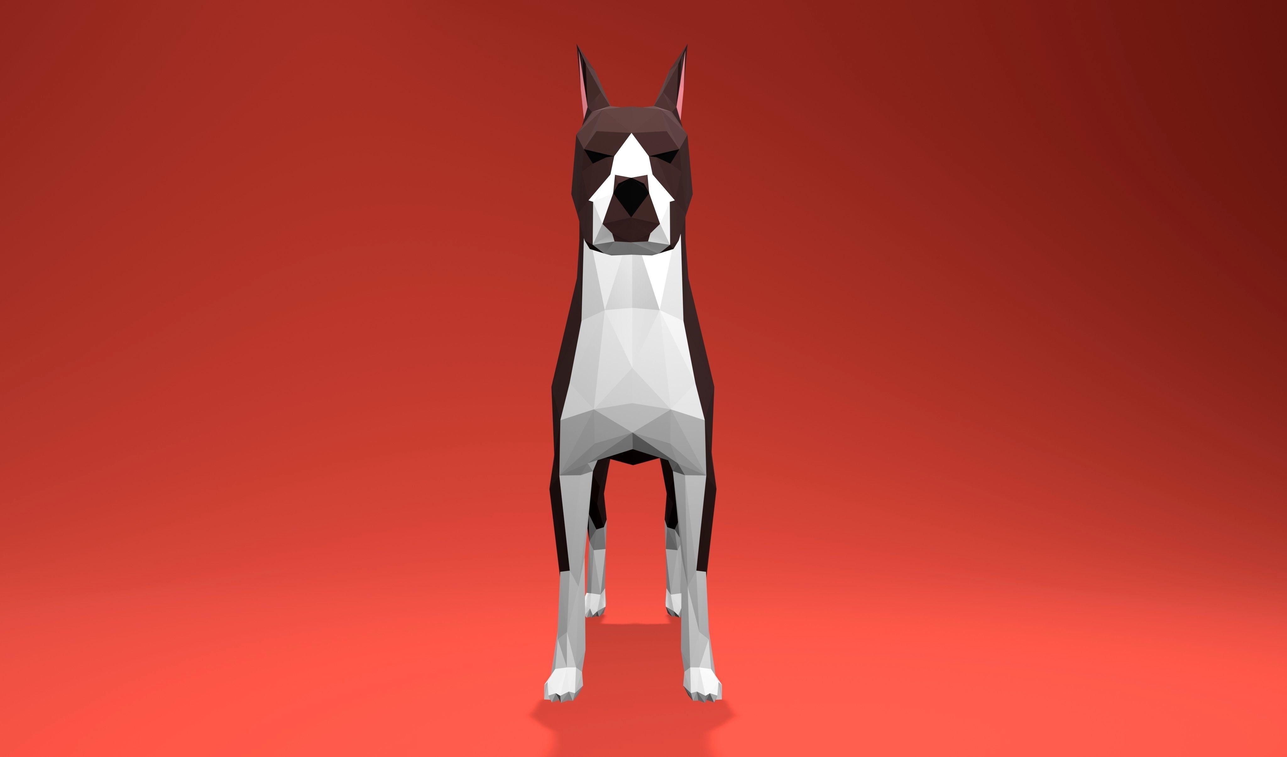 American Boxer Dog Lowpoly 3D print model_6