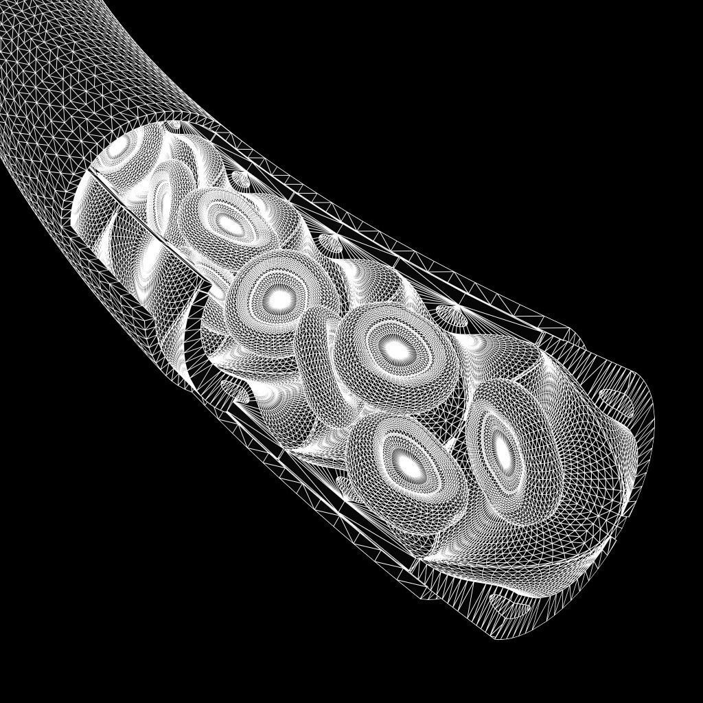 Blood Vessel Cutaway 3D model_3