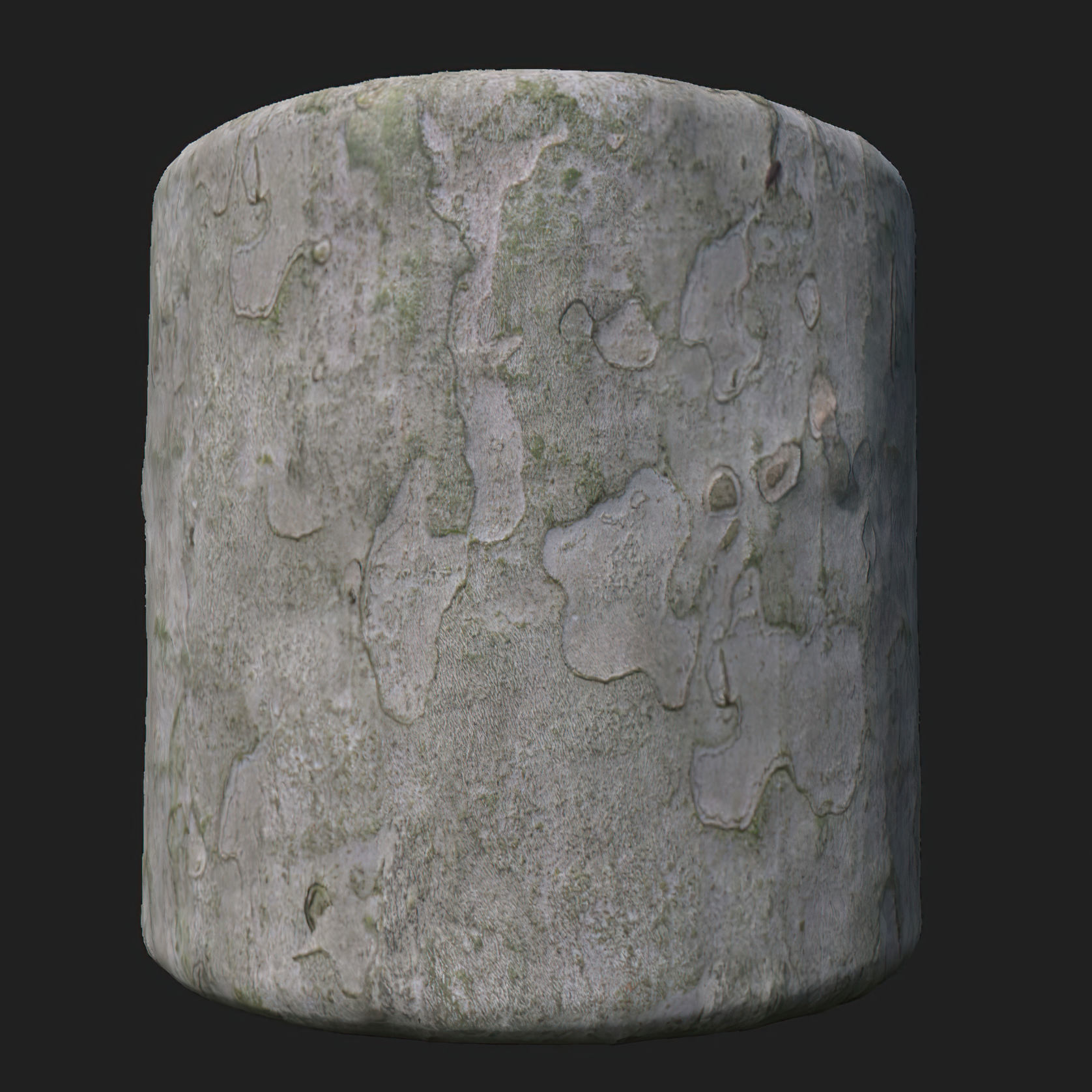 Barks Collection PBR Textures Texture_10