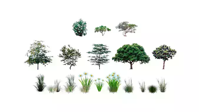 LOWPOLY PLANTS trees and