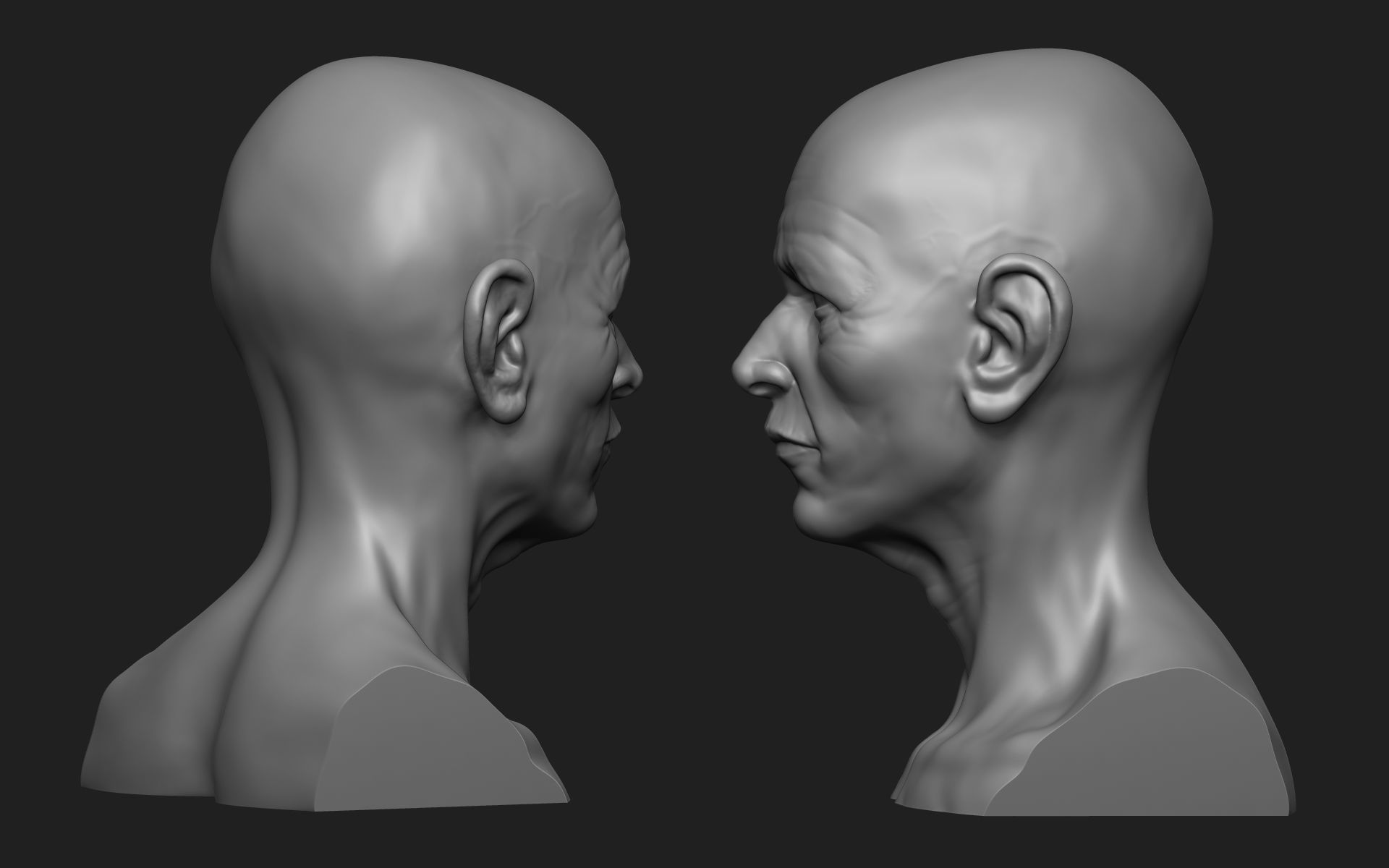 Old Man Bust 3D print model_2