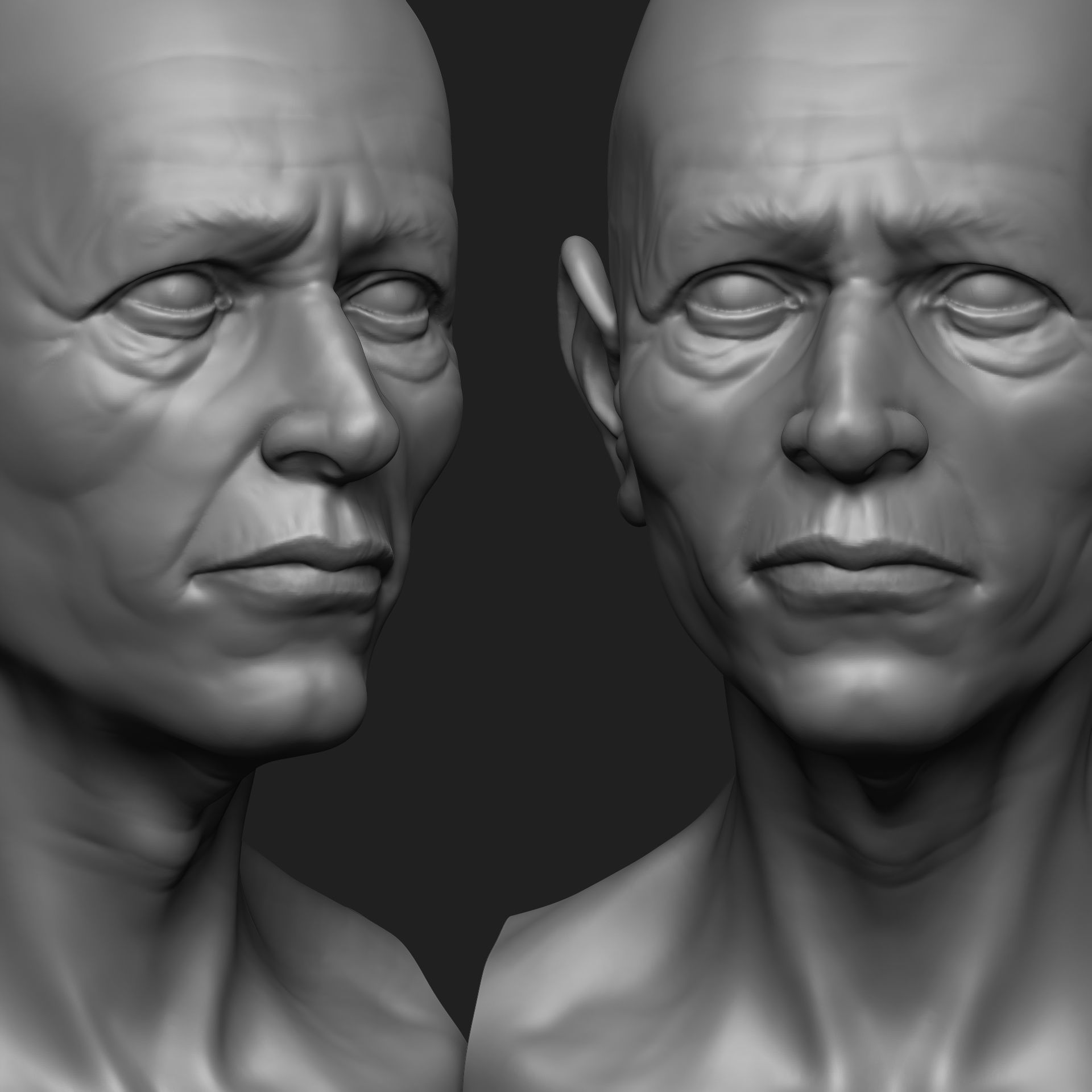 Old Man Bust 3D print model_4