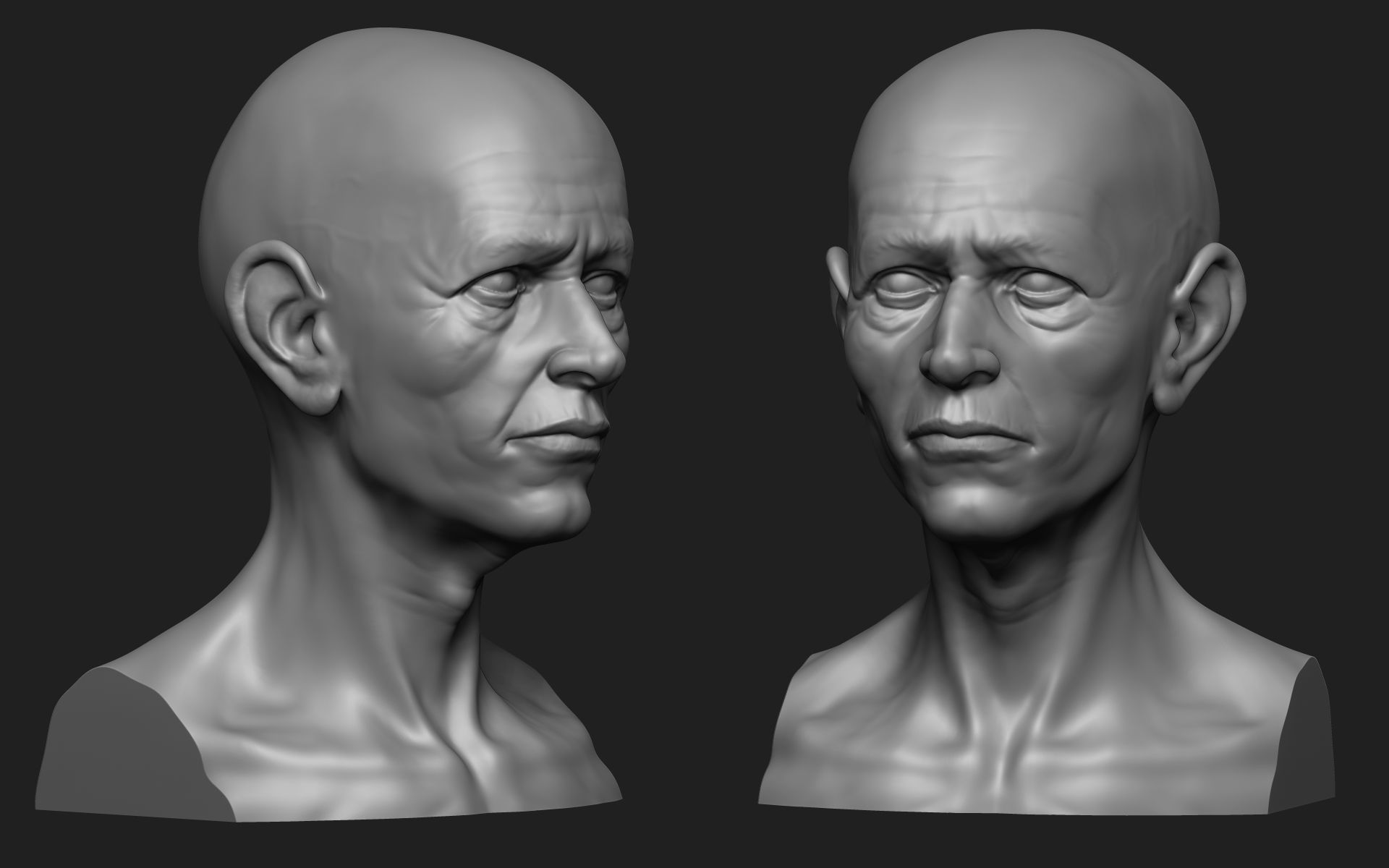 Old Man Bust 3D print model_1