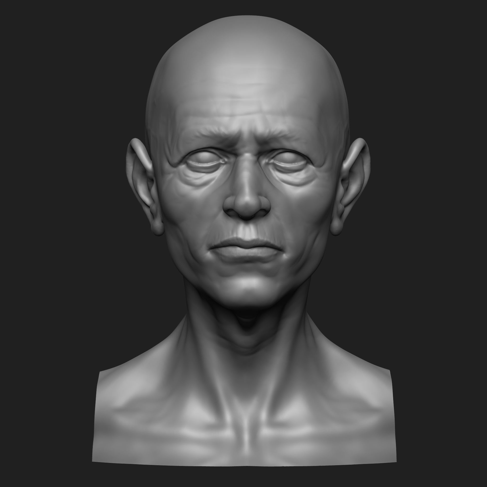 Old Man Bust 3D print model_3
