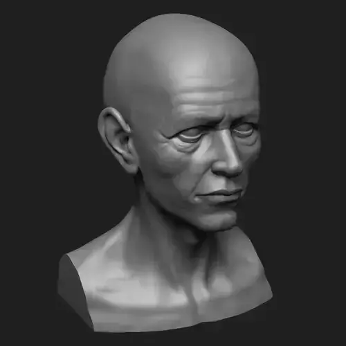 Old Man Bust