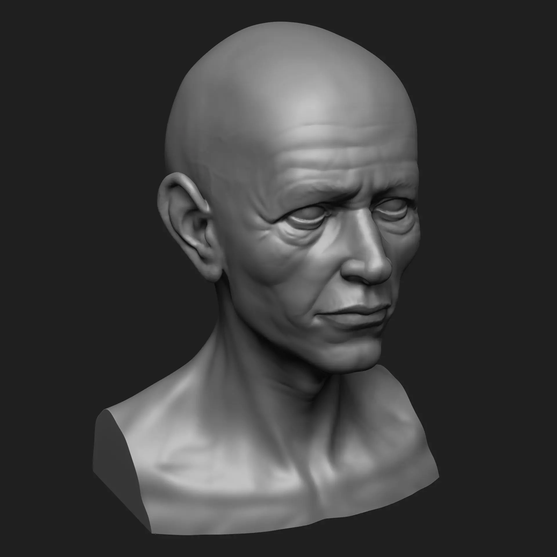 Old Man Bust 3D print model_0