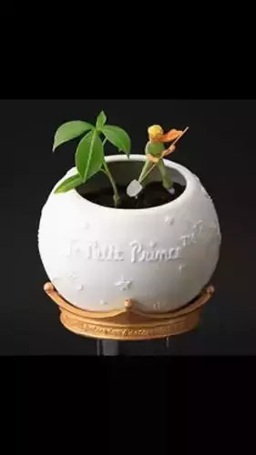 Maceta principito 3D print model