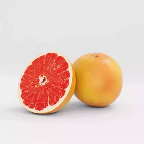 3D Grapefruit model two grapefruits 3D model
