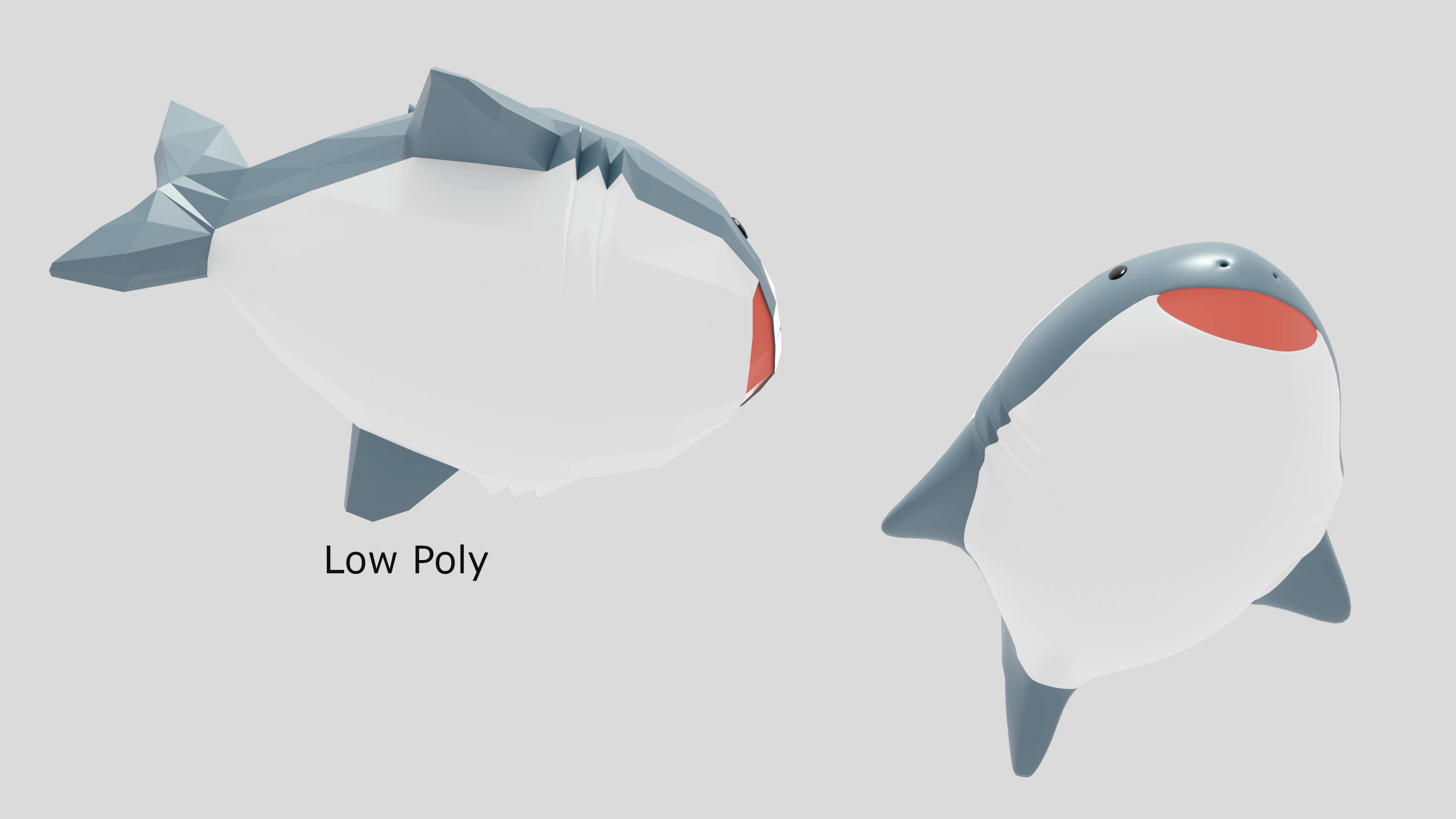 Toy Shark 3D model_10