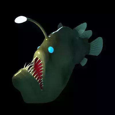 Angler Fish 3D model