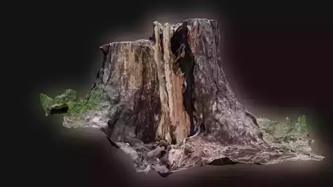 Tree Stump Free 3D model