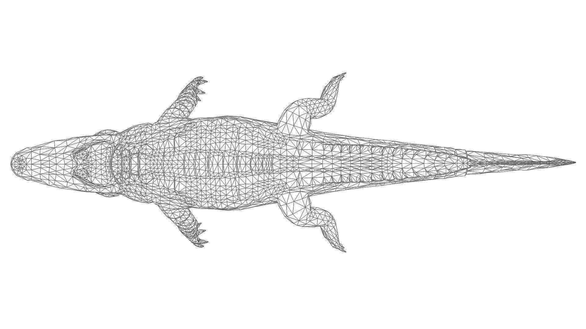 Alligator crocodile Low-poly 3D model_6