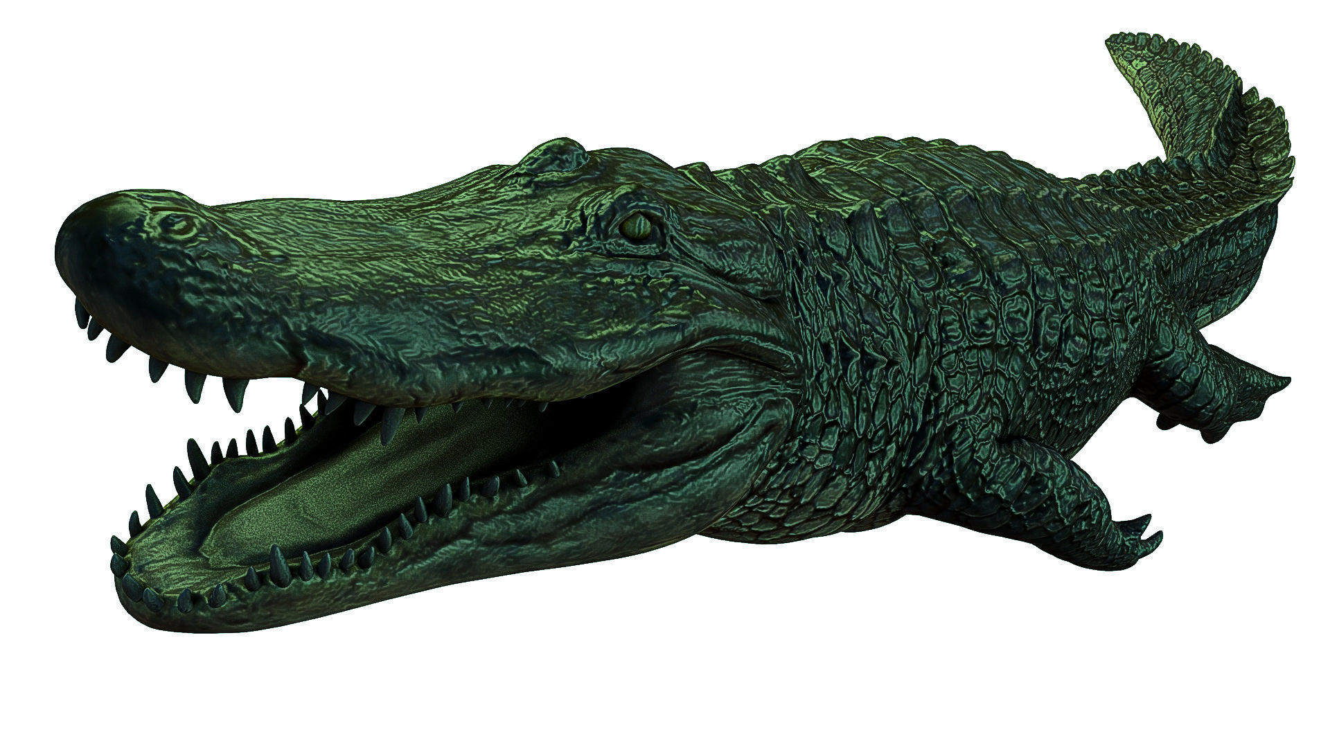 Alligator crocodile Low-poly 3D model_3