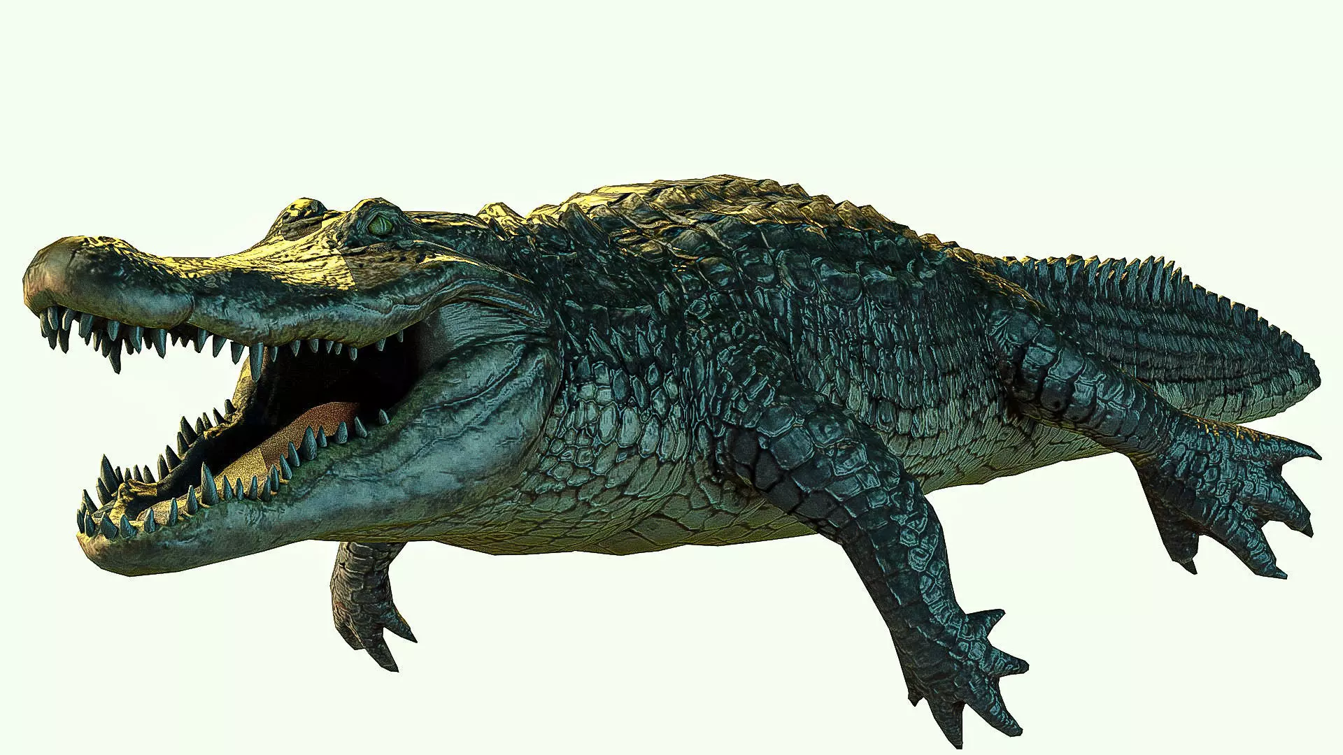 Alligator crocodile Low-poly 3D model_0