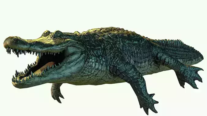 Alligator crocodile Low-poly 3D model