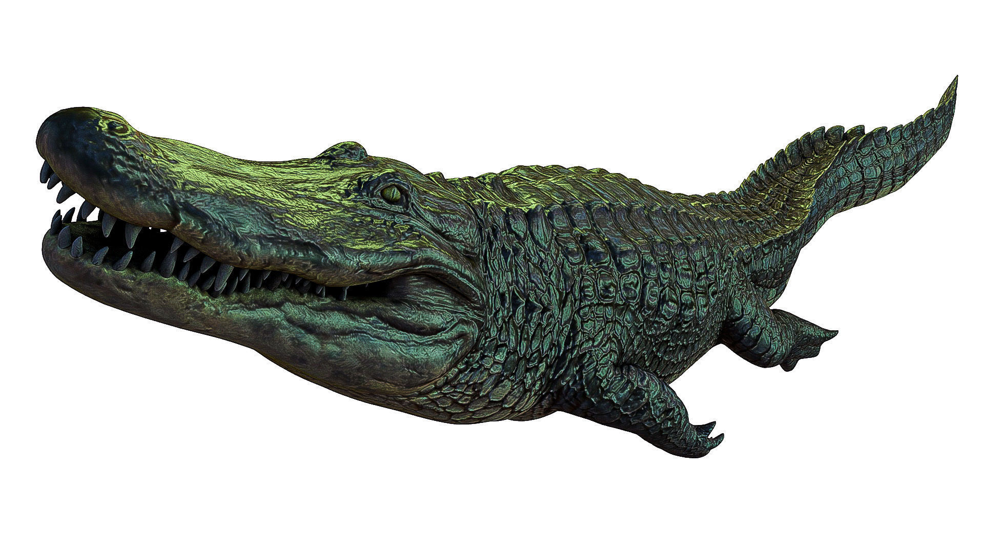 Alligator crocodile Low-poly 3D model_1