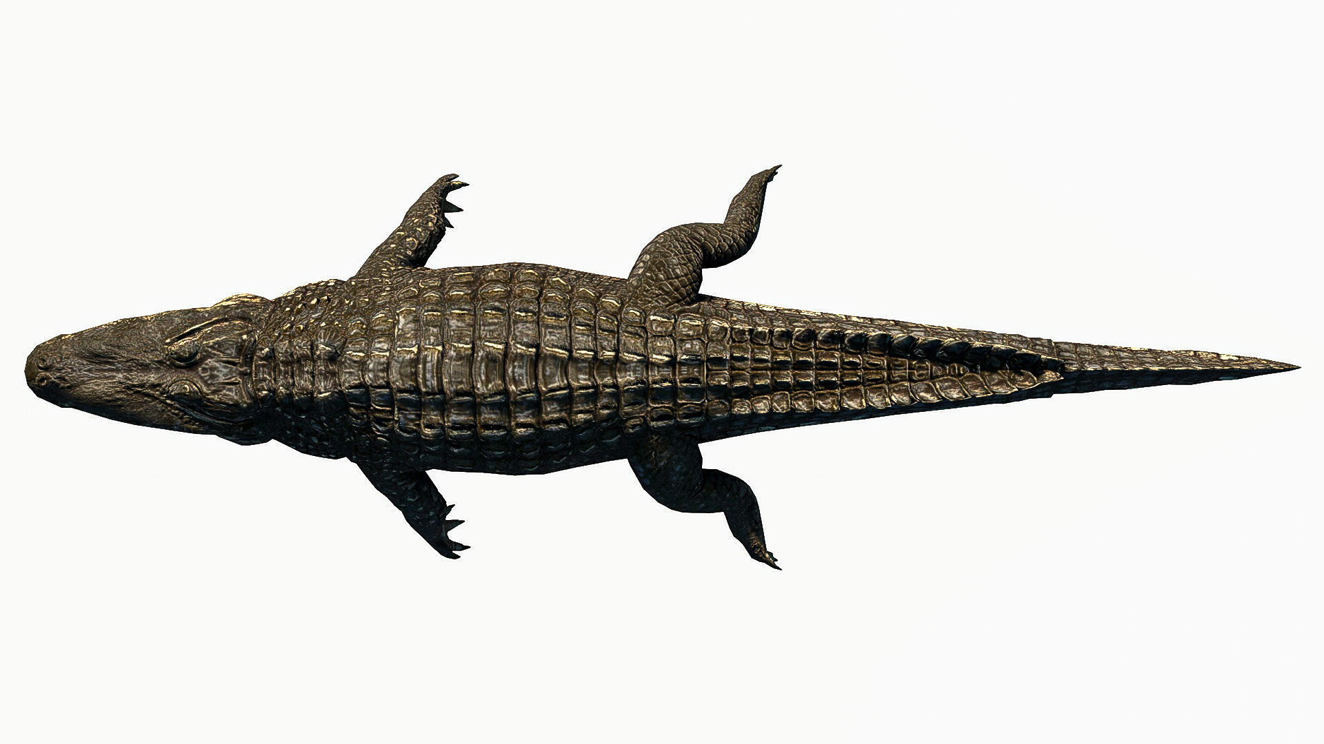 Alligator crocodile Low-poly 3D model_5