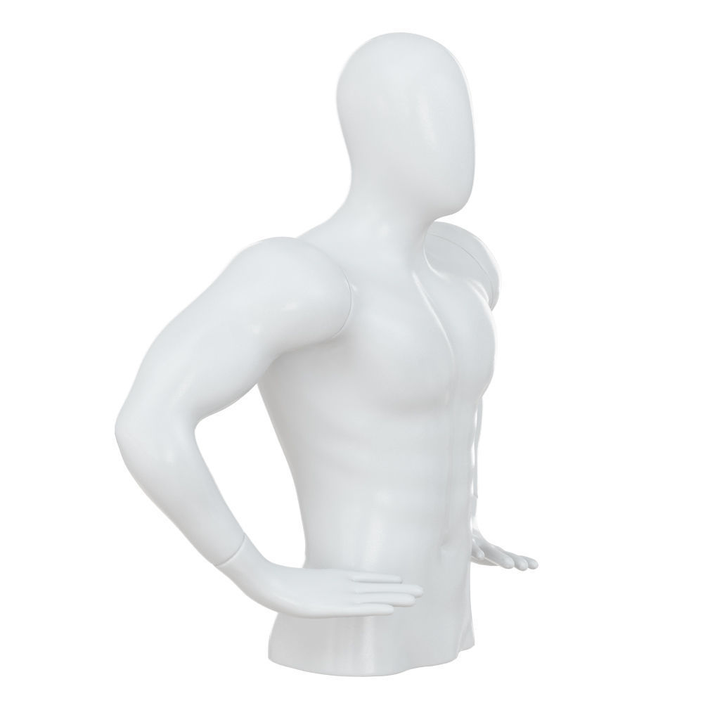 White torso male mannequin 86 3D model_1