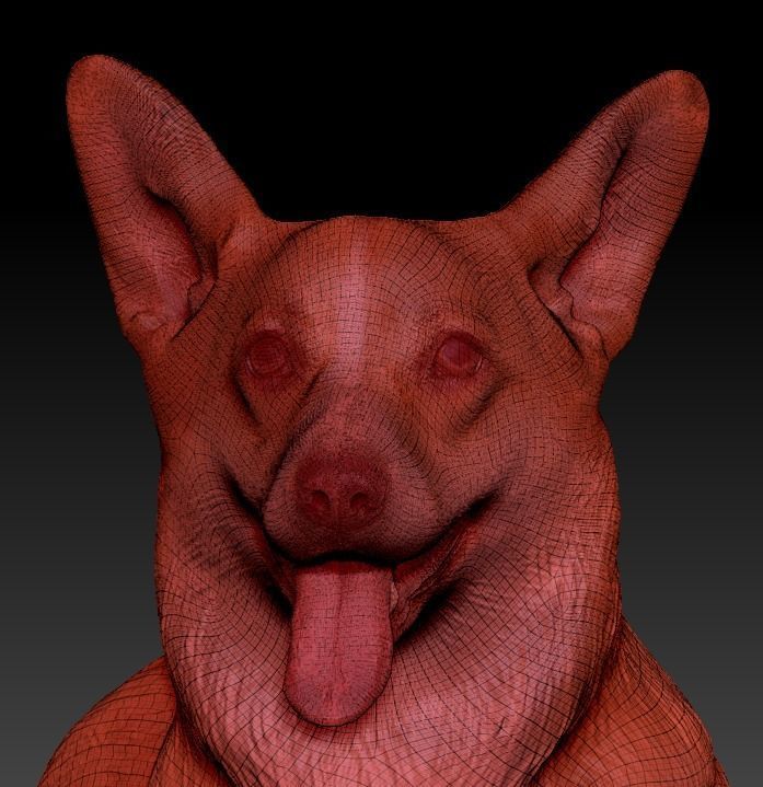 Corgi dog lying 03 Low-poly 3D model_5