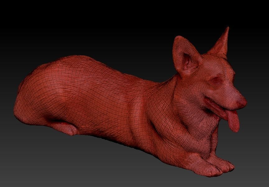 Corgi dog lying 03 Low-poly 3D model_4