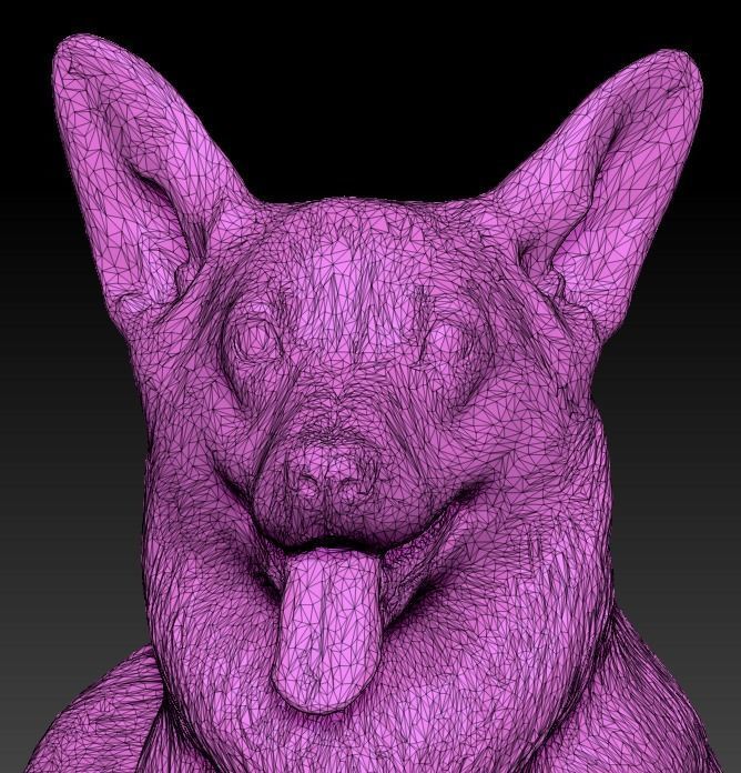 Corgi dog lying 03 Low-poly 3D model_7