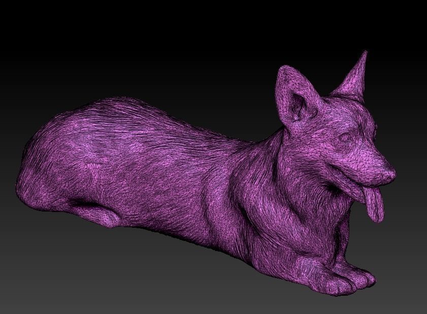 Corgi dog lying 03 Low-poly 3D model_6
