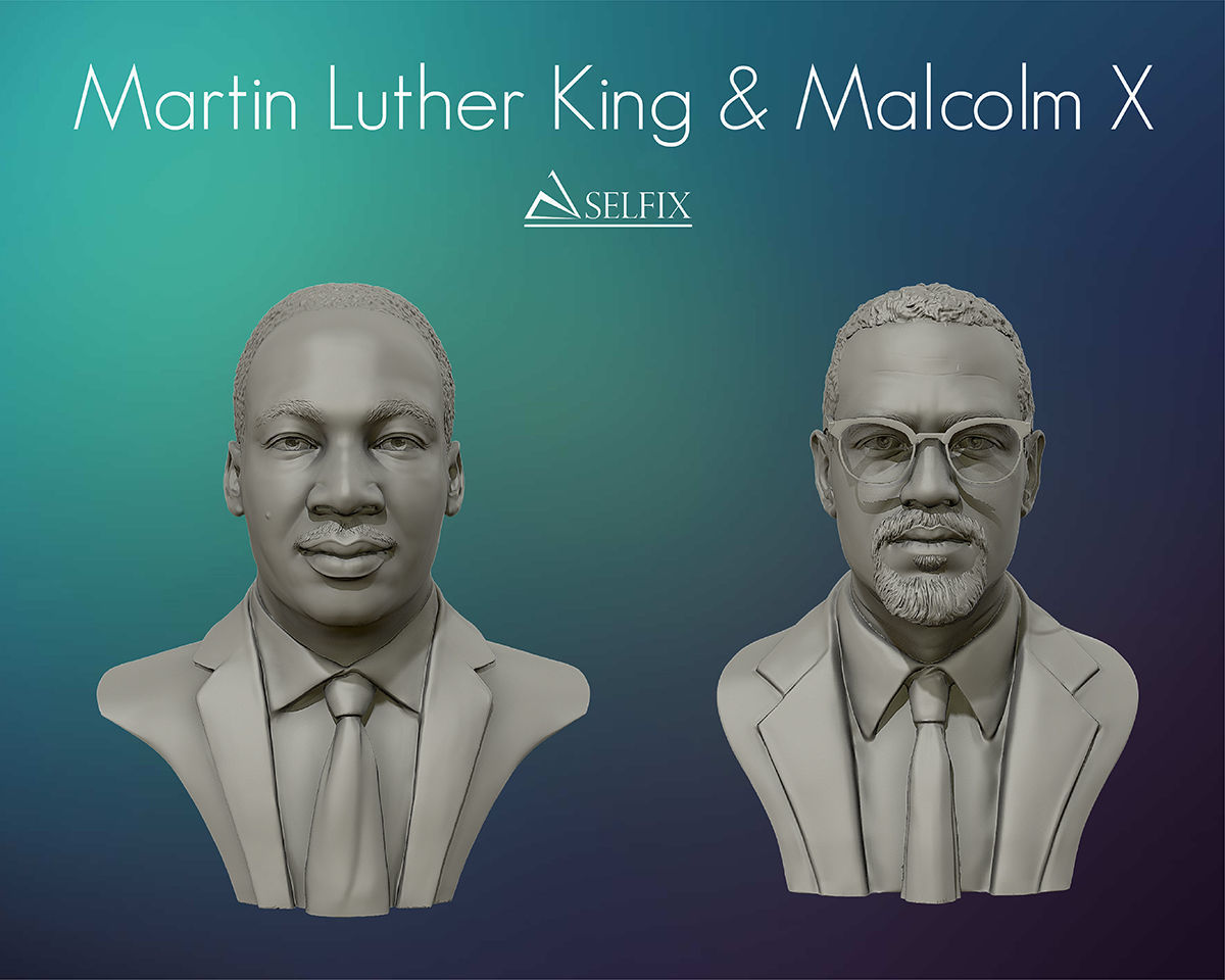 Martin Luther King and Malcolm X portrait sculpture 3D Model Collection_1