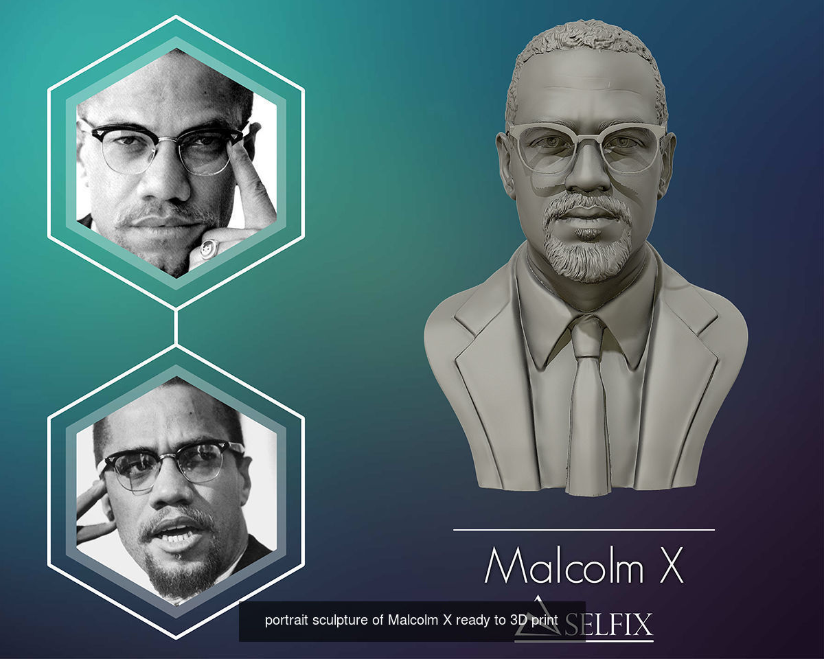 Martin Luther King and Malcolm X portrait sculpture 3D Model Collection_3
