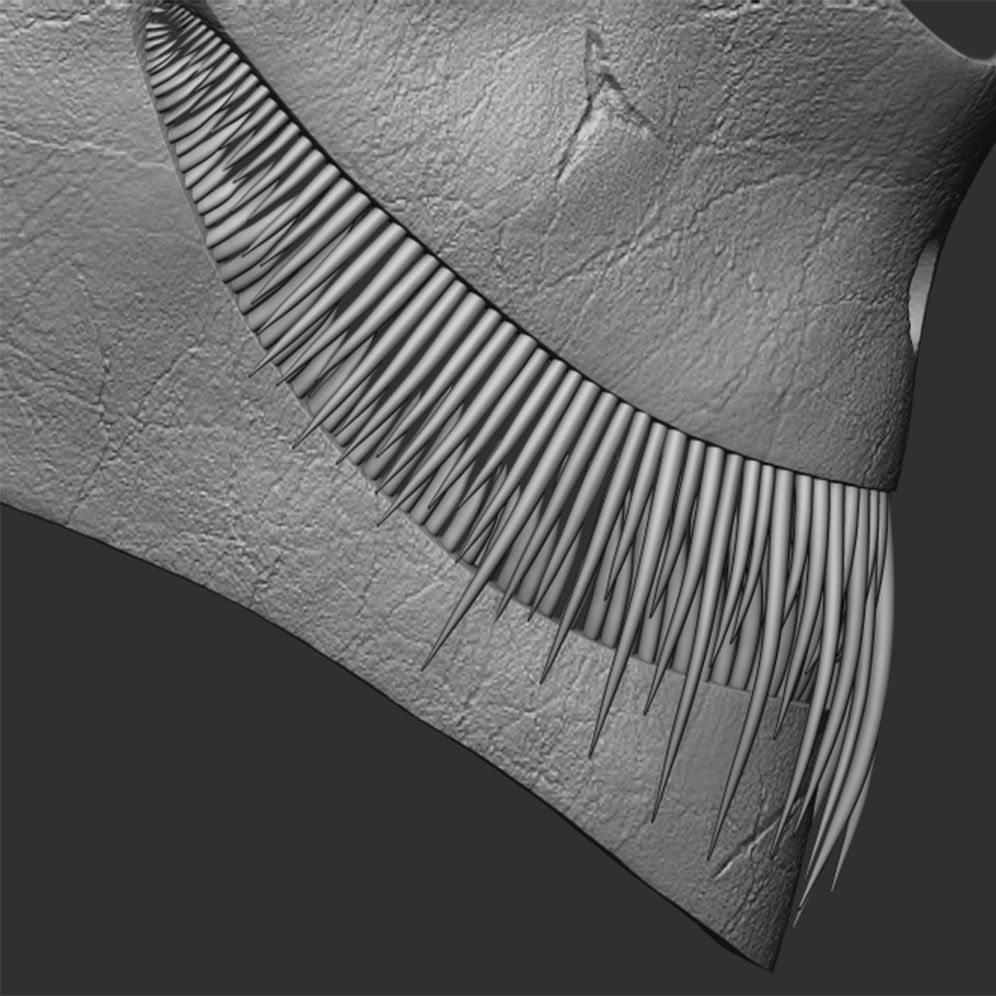 Scary Skull 3D model_2