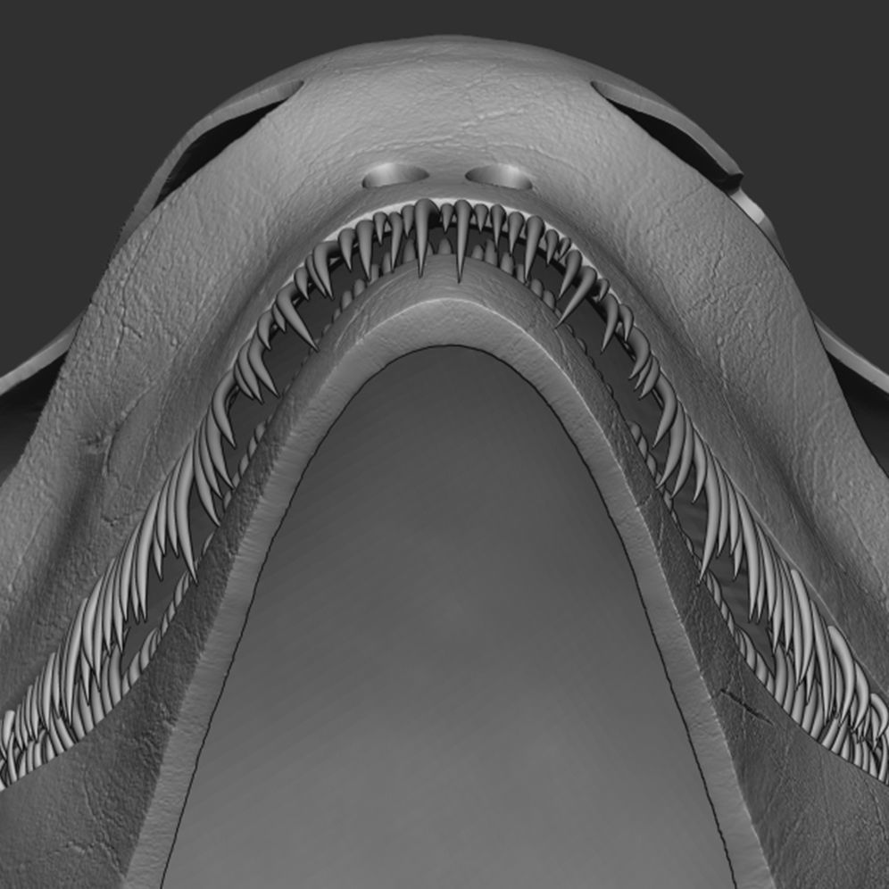 Scary Skull 3D model_3