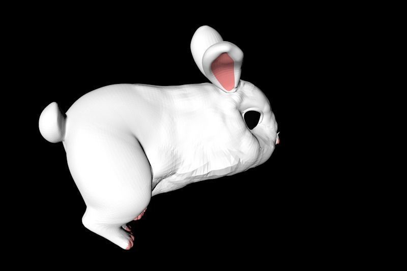 Snowball rabbit 3D model_3