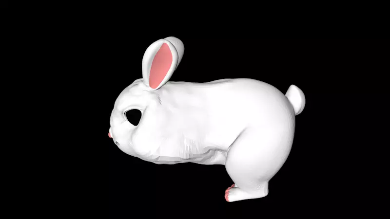 Snowball rabbit 3D model_0