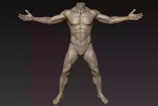 Male Full Body Sculpt Pose 11 3D model