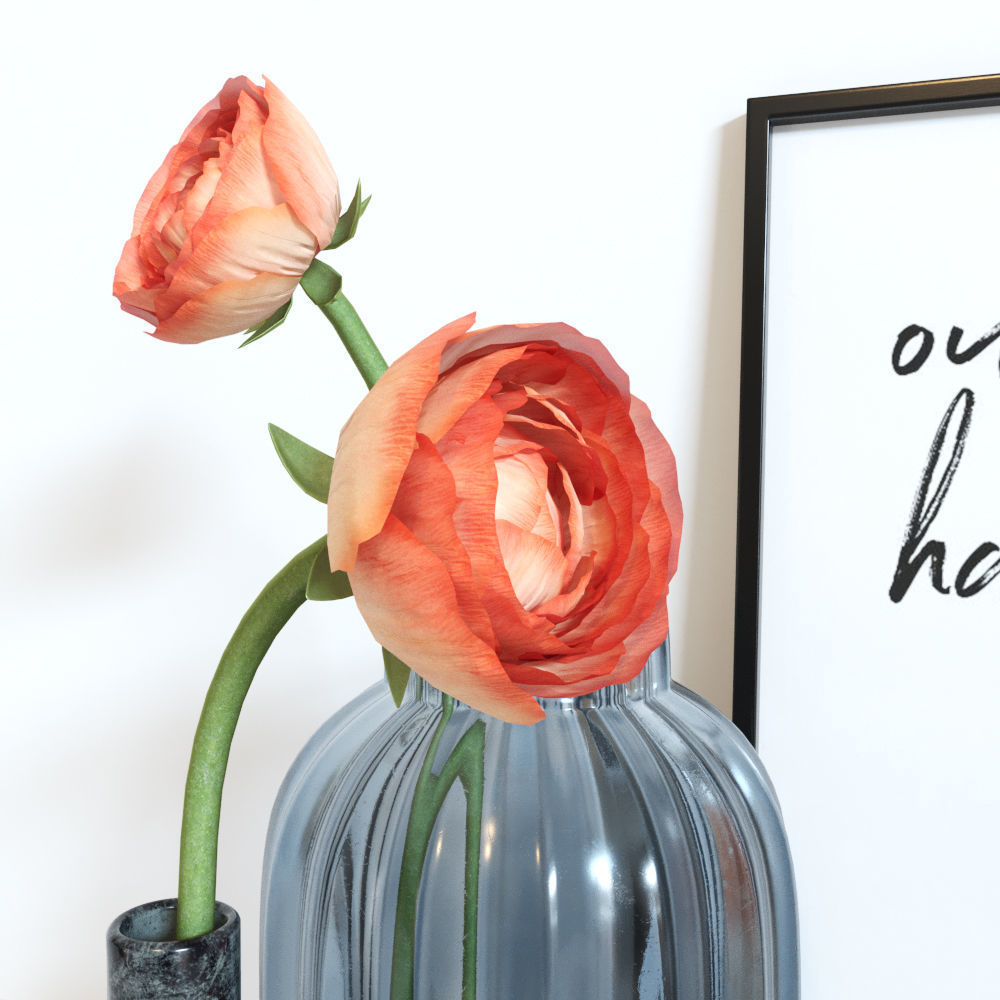 Ranunculus decorative set Free 3D model_6