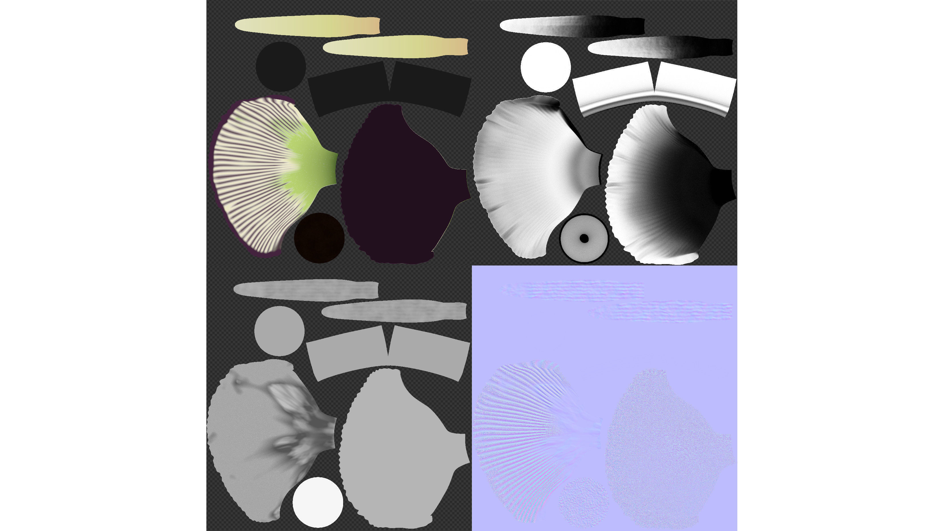 Titan Arum 3D model_10