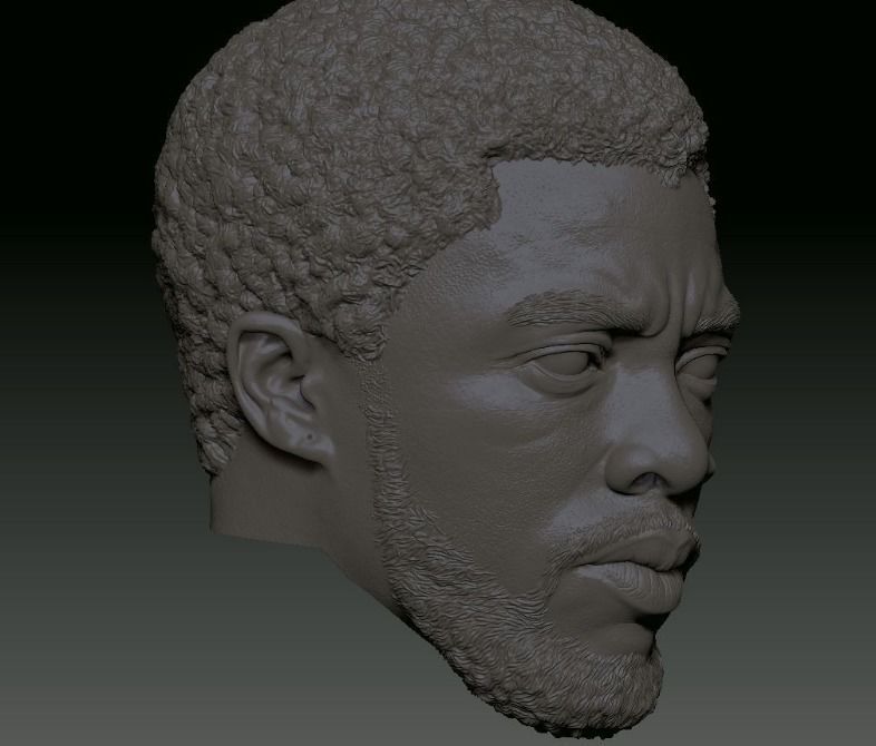 TChalla Chadwick Boseman head sculpt file 3D print model_2