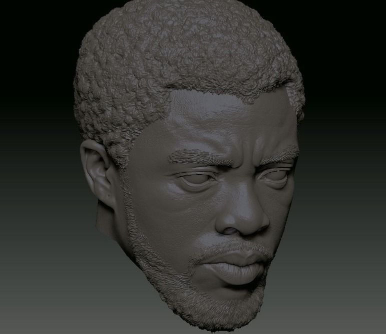TChalla Chadwick Boseman head sculpt file 3D print model_1