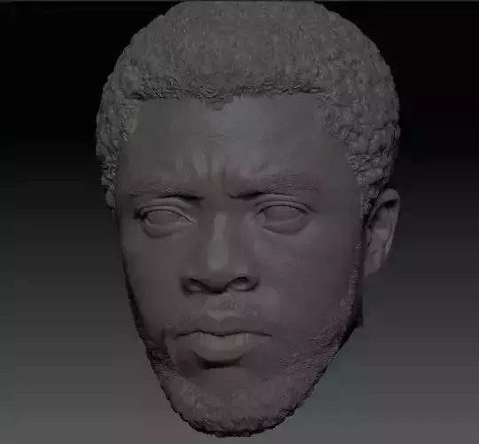 TChalla Chadwick Boseman head sculpt file 3D print model