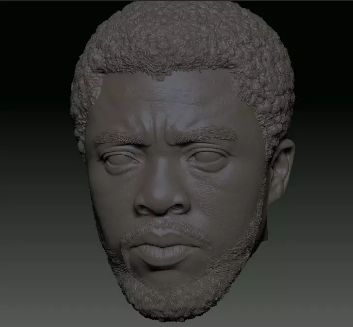 TChalla Chadwick Boseman head sculpt file 3D print model_0