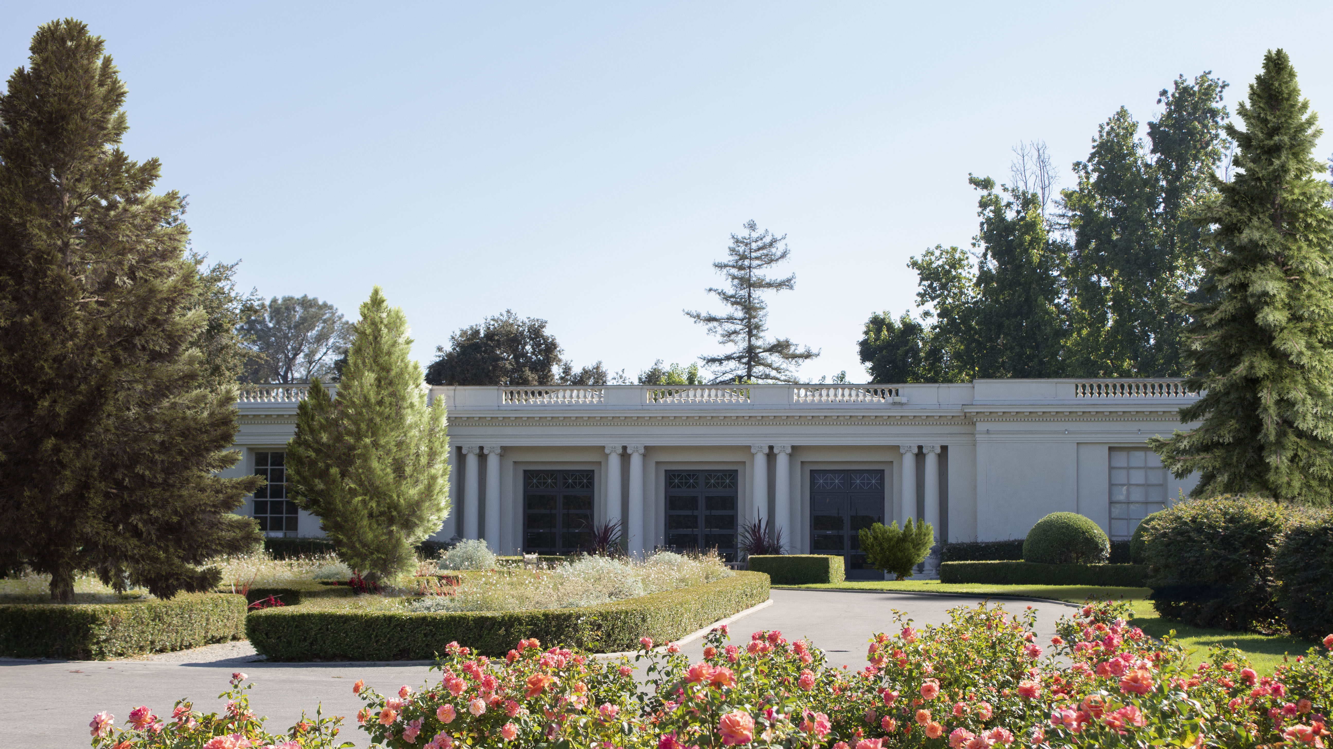 2021 PBR Hinoki False Cypress Collection - Chamaecyparis Obtusa 3D model_2