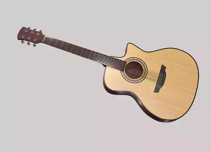 Acoustic Guitar